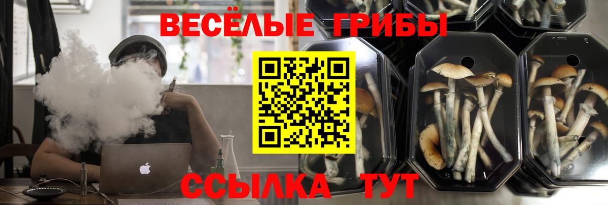 Псилоцибиновые грибы MAGIC MUSHROOMS  Вход с VPN  Галлюциногенные грибы Magic Shrooms  Боровичи 